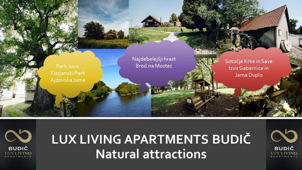 Lux Living Apartments Budic Near Terme Catez Brežice Exteriér fotografie